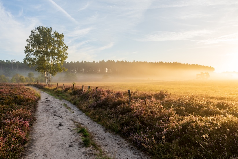Zonsopgang in de Teut