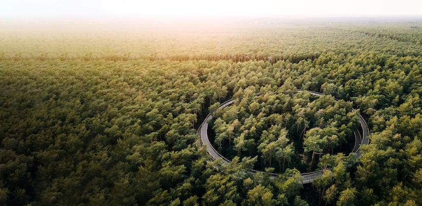 Dronebeeld van het fietspad tussen de bomen
