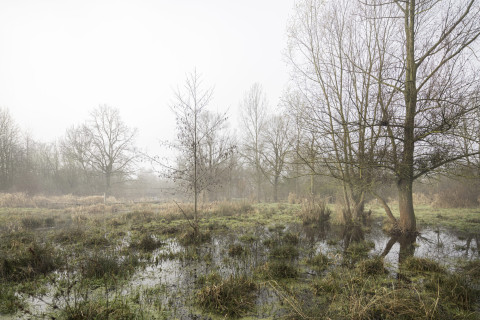 Winters natuurbeeld