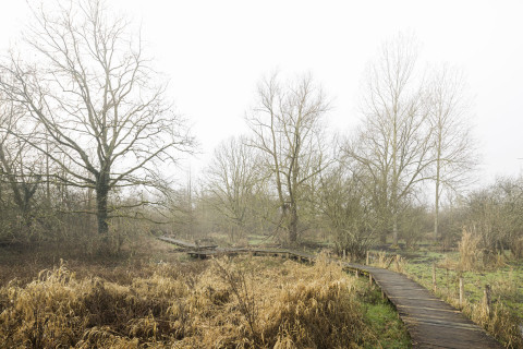 Winters natuurbeeld