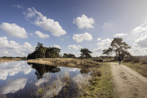 Vergezicht in de winter met wolken