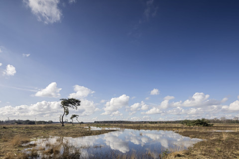 Vergezicht in de winter met wolken