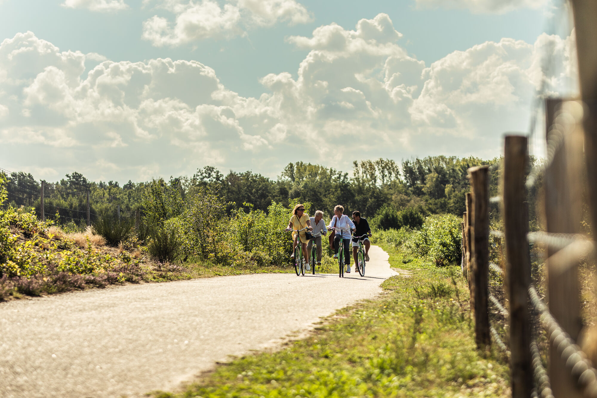 groepje fietsers in Limburg